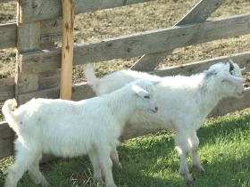 seson de primavara, transilvania, turism